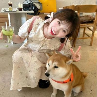 虚假的借口海报